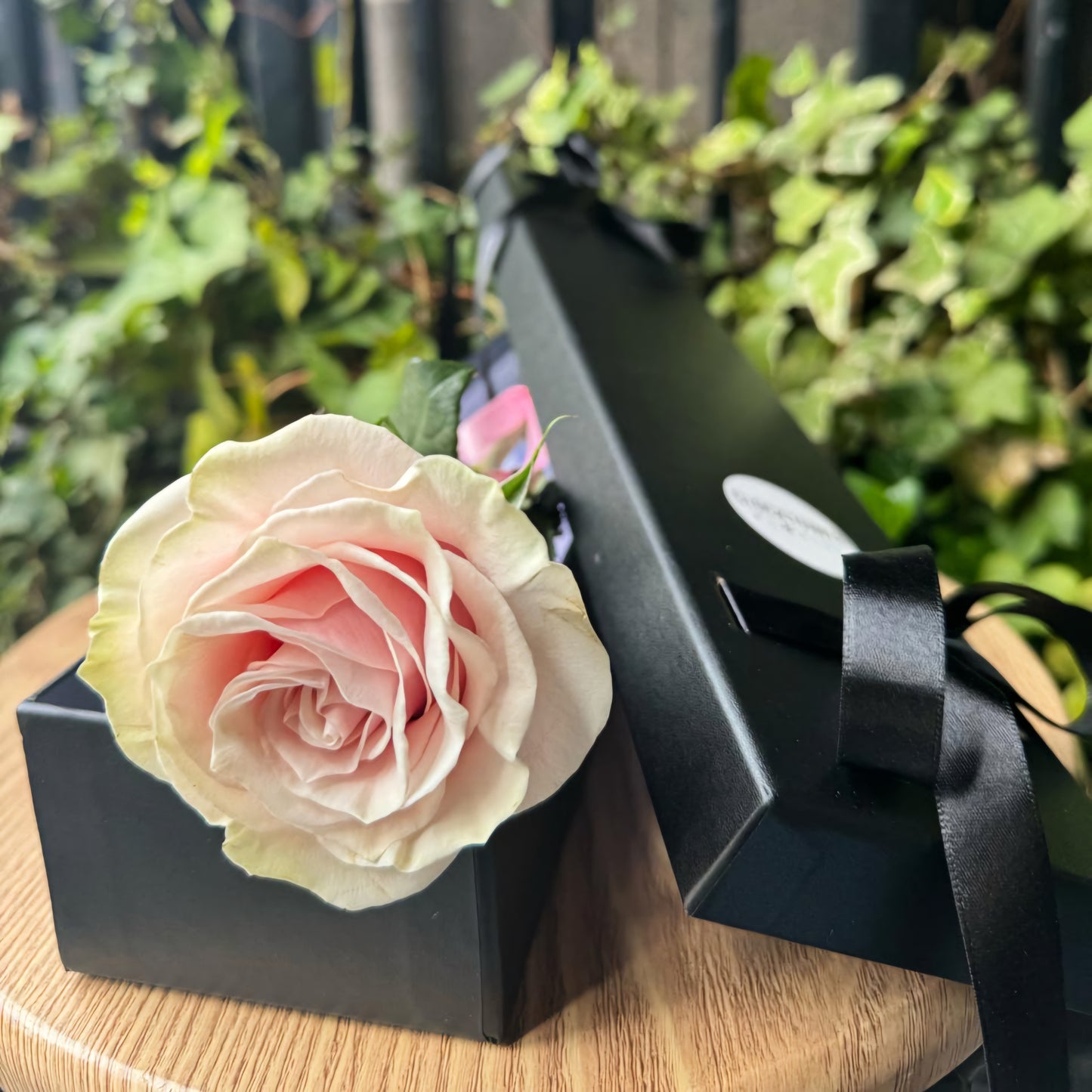 Boxed Single Rose