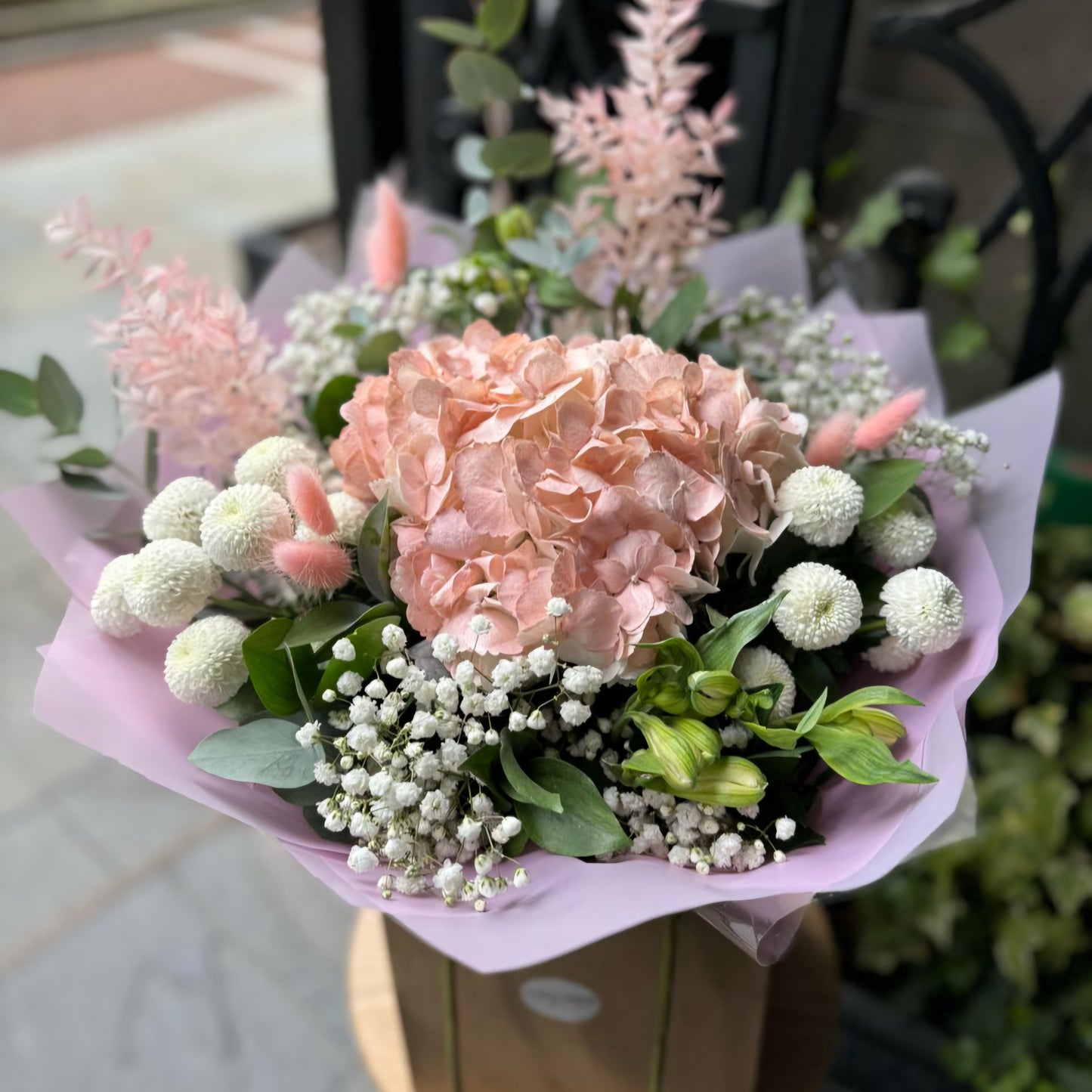 Sweet Arrival