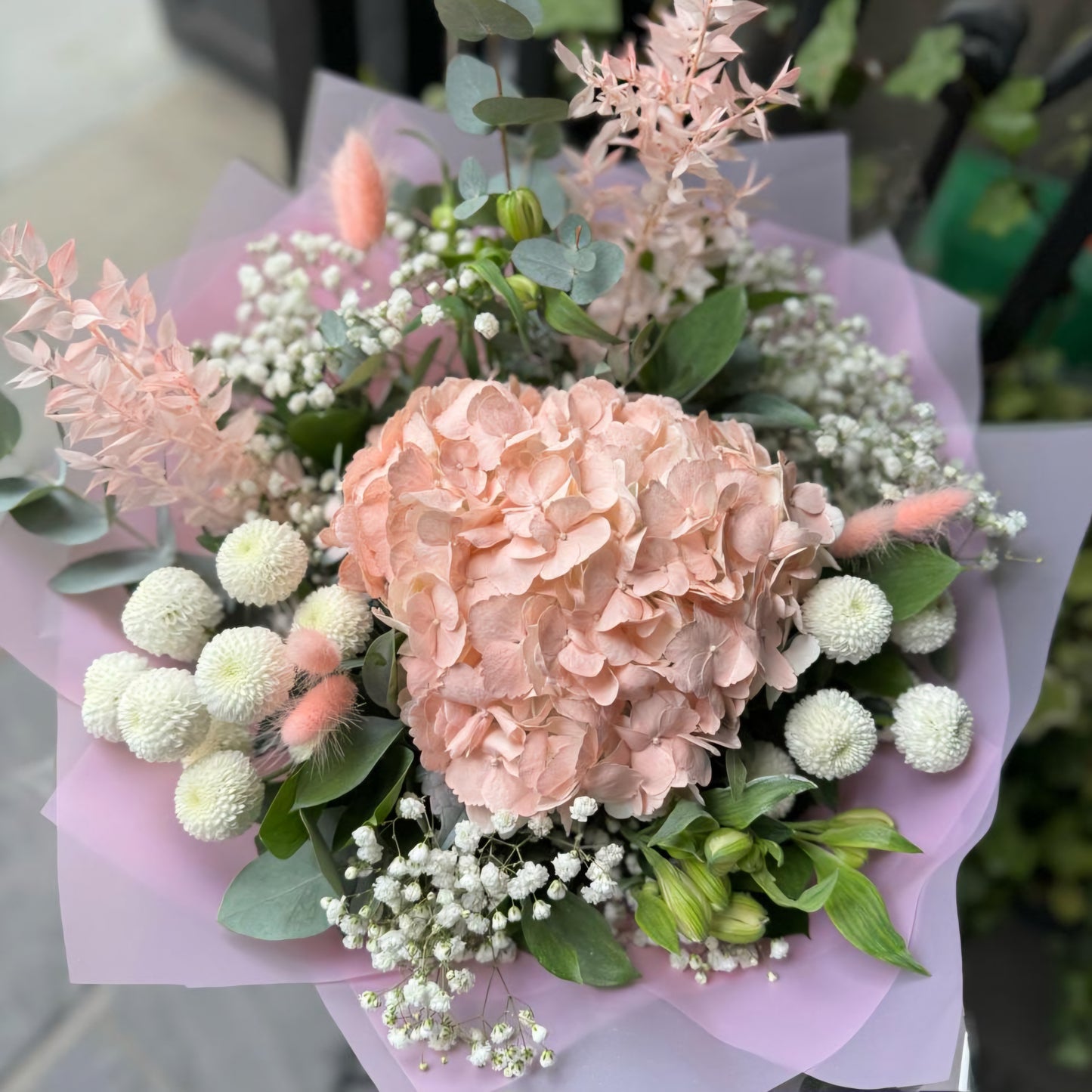 Sweet Arrival
